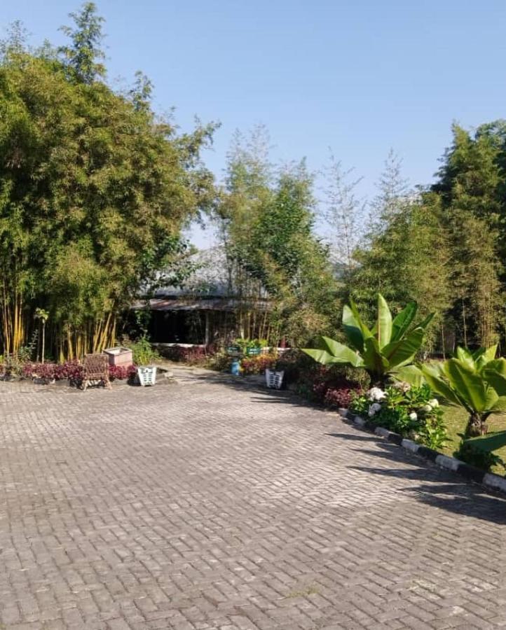 Le Bambou Gorilla Lodge Kinigi Kültér fotó
