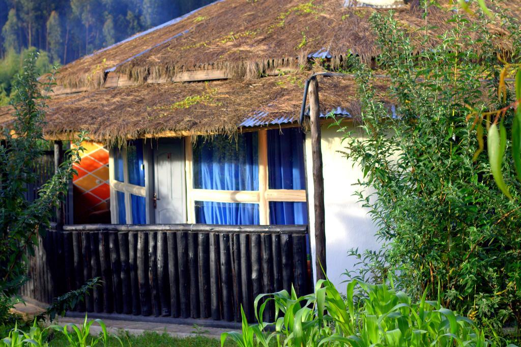 Le Bambou Gorilla Lodge Kinigi Szoba fotó