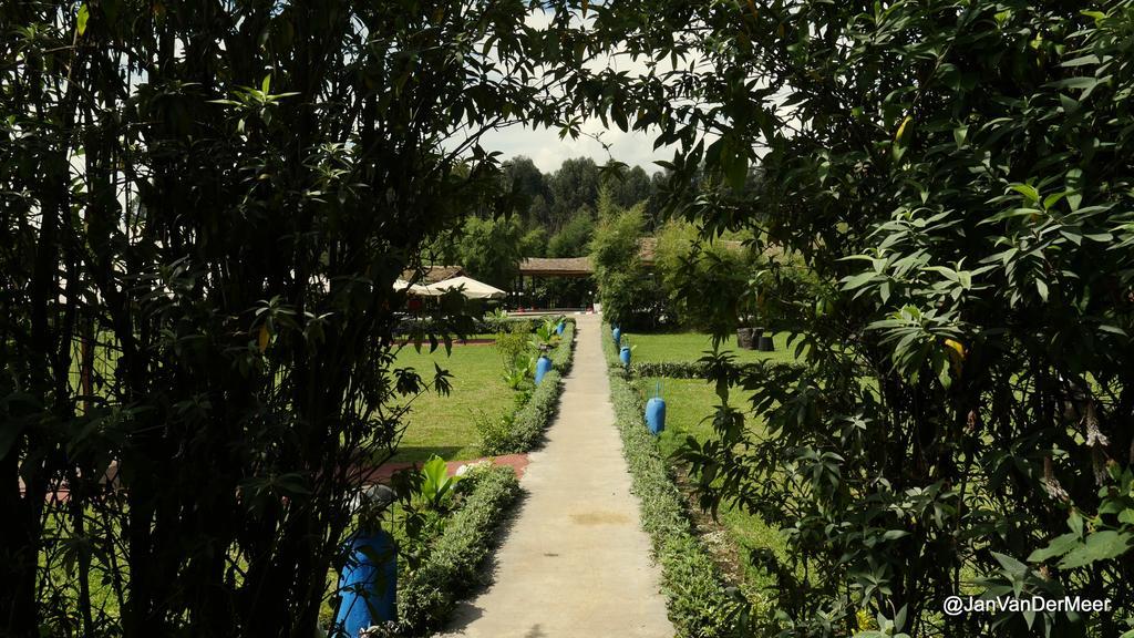 Le Bambou Gorilla Lodge Kinigi Kültér fotó