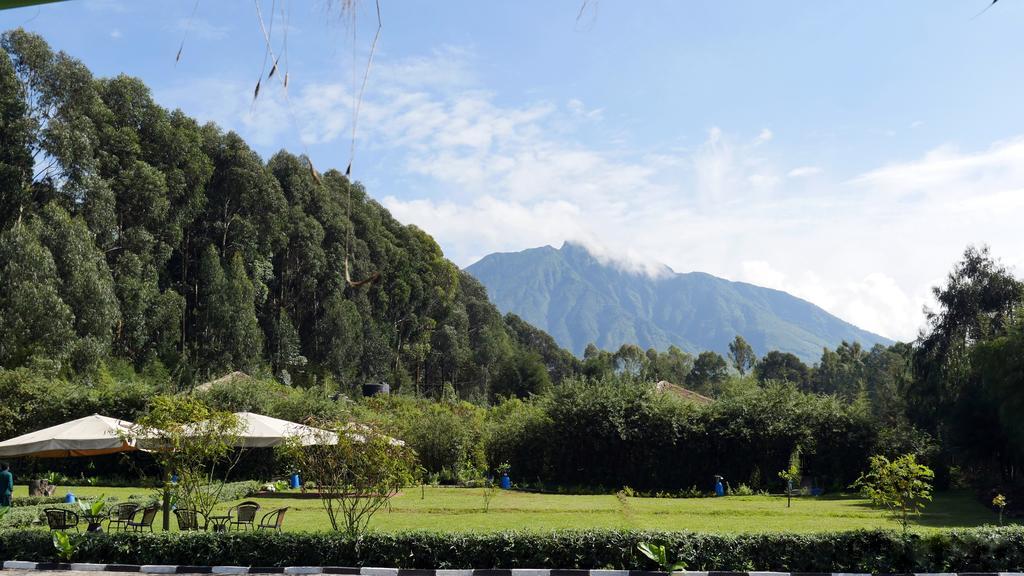 Le Bambou Gorilla Lodge Kinigi Kültér fotó