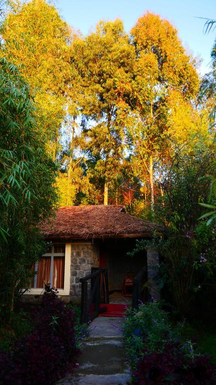 Le Bambou Gorilla Lodge Kinigi Kültér fotó