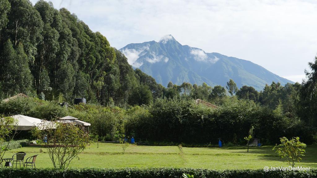 Le Bambou Gorilla Lodge Kinigi Kültér fotó