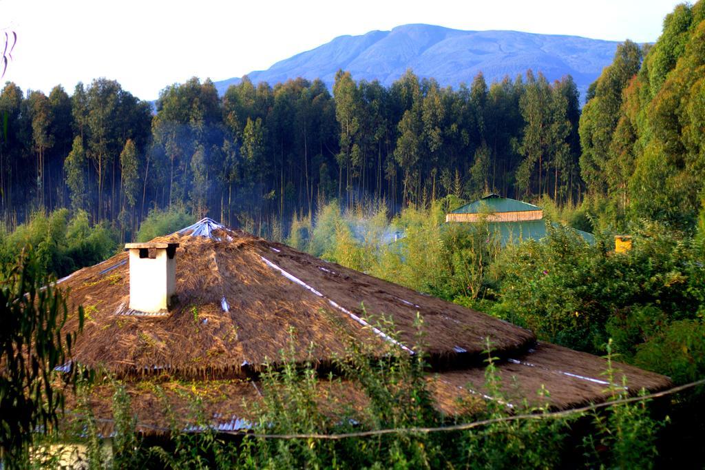 Le Bambou Gorilla Lodge Kinigi Kültér fotó