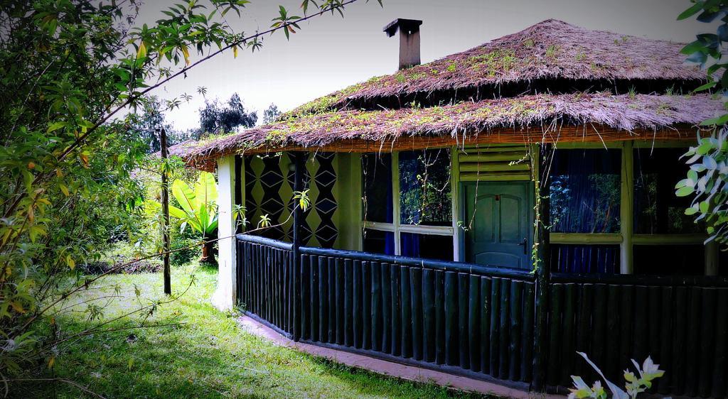 Le Bambou Gorilla Lodge Kinigi Kültér fotó